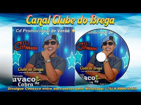Forrozão Suvado de Cobra - Verão 2018 ᴴᴰ