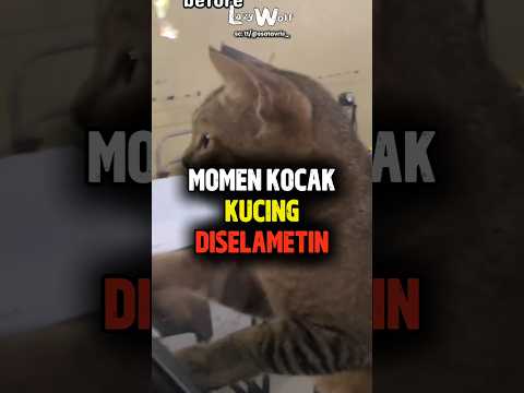 Unik emang ni makhluk😹