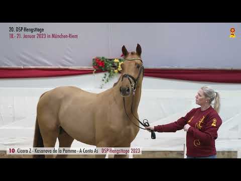 10 Cicero Z -Kasanova de la Pomme