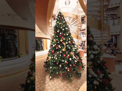 Thumbnail for Enchanted Princess Christmas Cruise  December 2024 #princesscruises #cruises #Christmas #cruiselife