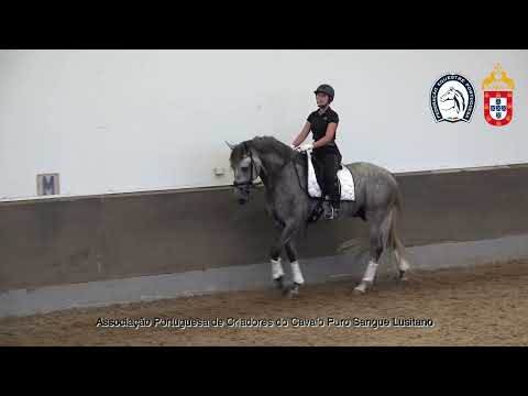 230626 8 Proj Ensino APSL&FEP - Lisa Maas com Oberyn