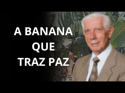 Por que a banana é considerada alimento de paz - Balbach