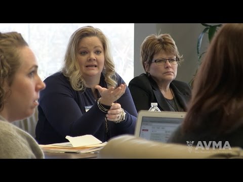 AVMA Volunteers: Mentored, Encouraged & Inspired