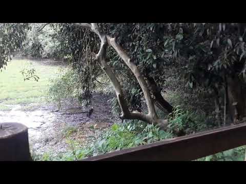 Circulo Militar Campinas