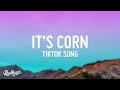 it's corn kid tiktok song (extended) lyrics | for me i really like corn