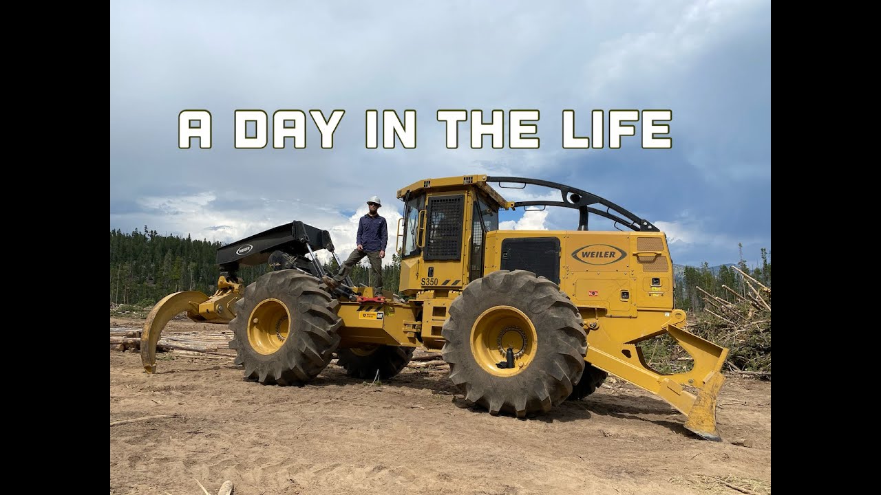A Day In The Life
