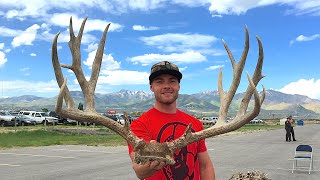 ANTLER AUCTION | WHAT HAPPENS TO ALL THE ANTLERS?
