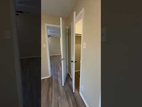 T080 TURT - Video 2 of 2