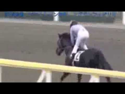 Super horse in Japan race