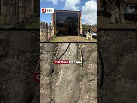 A história de Vicente, o lobo-guará da Serra do Caraça! 🌿