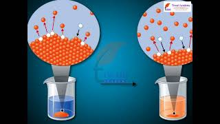 Class 11 Chemistry Solubility Equilibria of Sparingly Soluble Salts in Chapter 7 Equilibrium
