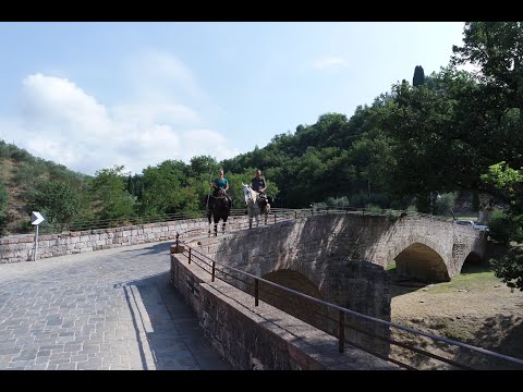 Trekking a cavallo - Cammino d'Assisi - da Dovadola ad Assisi - 7gg in autonomia
