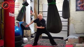 Wang Yunkuo Kung Fu - Fighting Techniques - Hanging Baskets Skills