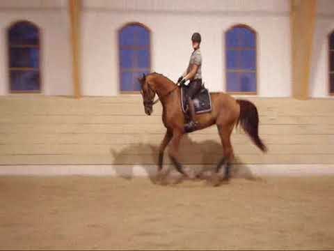 Hjort´s sandra neff