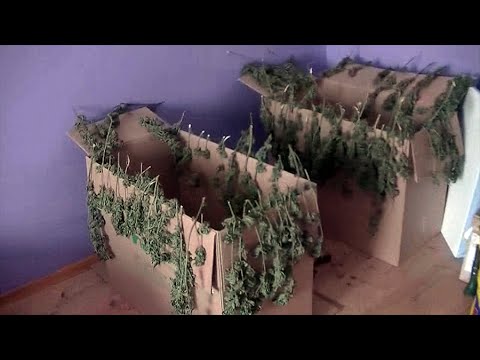 Smarowanie element zwiększania Jak zwiększyć członek Rosemary