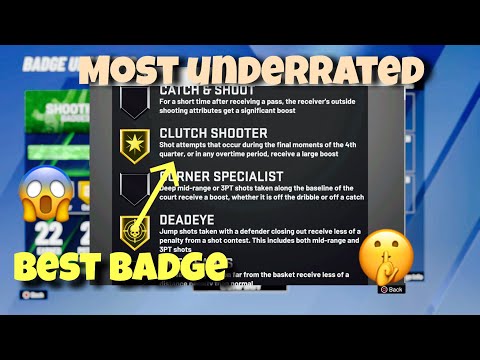 Most underrated badge in the game!! 🤫😈