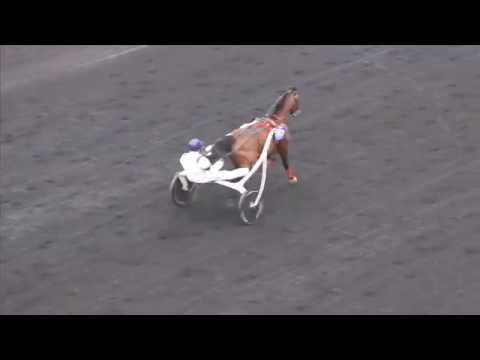 Heat de Tiego d'Etang