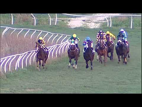 Napoli Galoppo 29/12/2022 - 5ª corsa