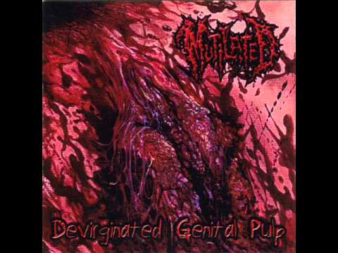 Mutilated (USA)- Hollowed Out Cunt