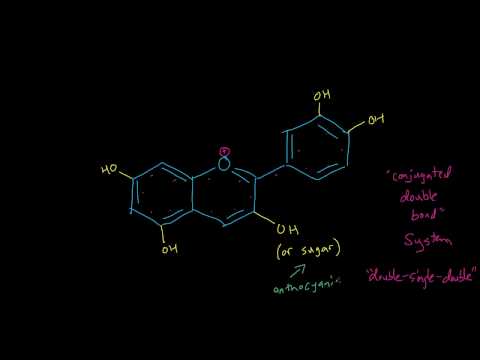 download lagu mp3 mp4 Blueberry Anthocyanins, download lagu Blueberry Anthocyanins gratis, unduh video klip Blueberry Anthocyanins