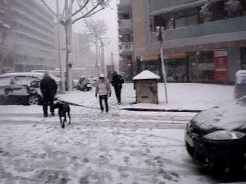 Nevada Barcelona 8 de març de 2010