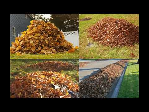 How to Rake, Blow & Bag Leaves Fast and Easy