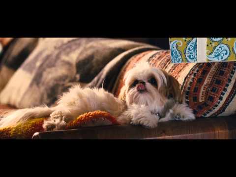 Семь психопатов - Trailer