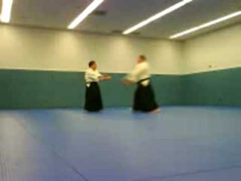 Dynamic Aikido Techniques 2