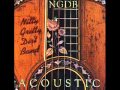 Nitty Gritty Dirt Band - The Broken Road