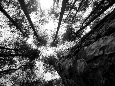 Solitude video