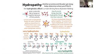 DMSO biochemistry
