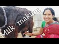 Milk Making