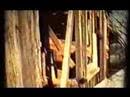 All India Radio - Home