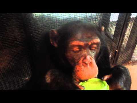 Blackberries Tumble into Bow's Mouth