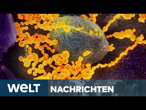 CORONA-LOCKERUNGEN: Virologen und Gefahr zweiter Covid-19-Welle werden zunehmend ignoriert