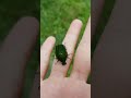 June Bug Baby 🥰 #insect#Junebug#summer#adventure#shorts