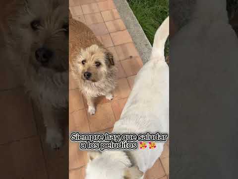 Tibasosa & lago de tota - boyacá