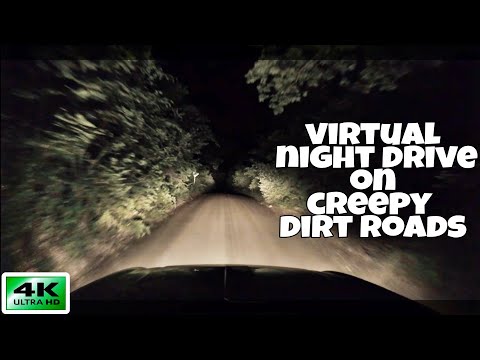 night drive.  creepy dirt roads.  virtual forest drive.