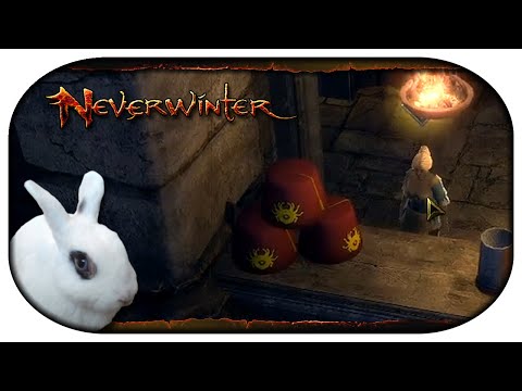 NEVERWINTER: Paladin-LP 🐇 113 - Einen Fez-2-Go, bitte!