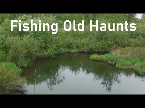 Fishing Old Haunts