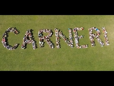Der Carneri Schulfilm (Carneri Inside)