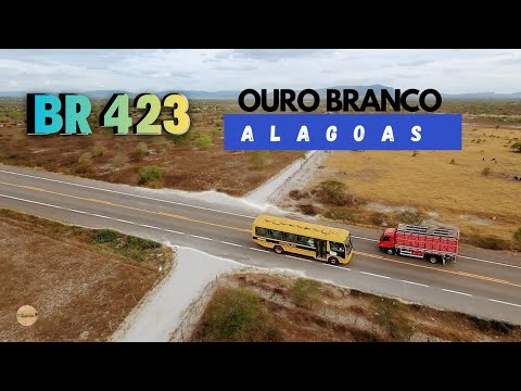 O sertão de ouro branco Alagoas 