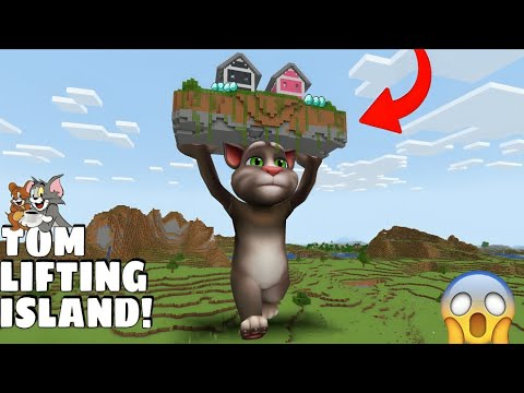 I found TALKING TOM HOLDING FLOATING ISLAND in MinecraftGameplay - Coffin Meme