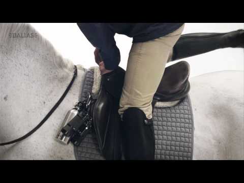 Horse1 Channel ID "Fritid" - Dallas Sthlm