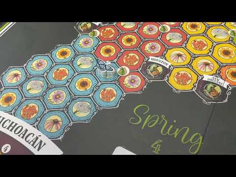 Mariposas - How to Play