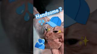 2026/6/21_113 貪吃SV #橘ひなの #橘貓 #橘猫 #貓咪日常 #cat #cute #貓貓日常 #貓貓 #可愛い猫 #貓咪