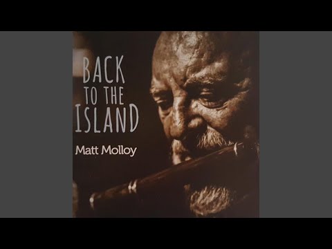 Paddy's Rambles Through the Field