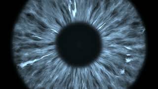 Close My Eyes ( Lyric Video ) by Jordan Knight