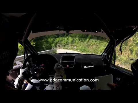 Domenico Erbetta - Rally della Marca 2017 - Ps 5 "Monte Cesen"