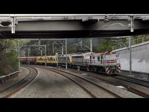 Streamliner diesel locomotives B61,  GM10 & GM22 with 48s34 & RL304 - Beecroft - June 2019